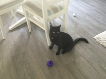 What's your DCat up to today? Pt 2