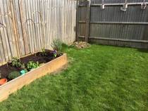 Help us decide what to do with this corner of our garden! (See pics)