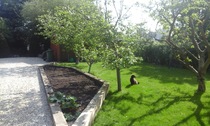 My new garden!