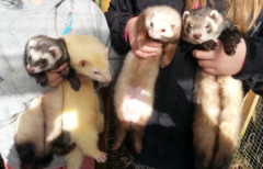 Money-managing Masterfully into May - Frugaleers unite!