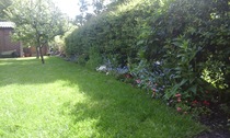 My new garden!