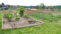 Allotment/Veg Patch -Thread  8 - Its spring - time to get busy!