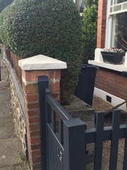 Anyone know about planting a hedge?