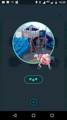 Pokémon Go #8: Don't mess with my Hoothoot