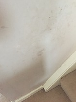 Read Mumsnetters’ feedback on Valspar Premium Blend v700 Walls & Ceilings Paint - £300 voucher to be won for feedback NOW CLOSED