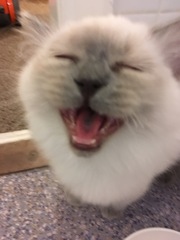 Devastated over the loss of my boy