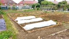 Allotment/Veg Patch -Thread  8 - Its spring - time to get busy!