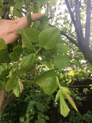 My new garden!