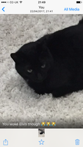 What's your DCat up to today? Pt 2