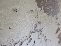 Frugaleers saving and chatting through April