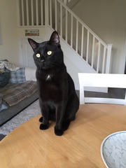 What's your DCat up to today? Pt 2