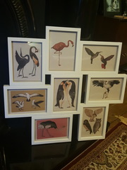 Due July 2017 #4 …… Well into 2nd Trimester! 20 Week Scans and Bumps Galore