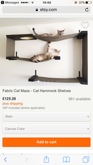 Would I be nuts to buy this?