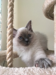 Devastated over the loss of my boy