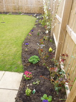 Allotment/Veg Patch -Thread  8 - Its spring - time to get busy!