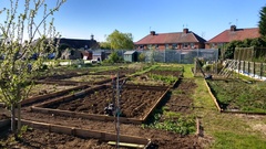 Allotment/Veg Patch -Thread  8 - Its spring - time to get busy!