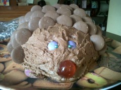 Is my hedgehog fucked? (Pics)