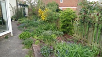 Allotment/Veg Patch -Thread  8 - Its spring - time to get busy!