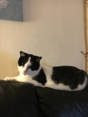 My beautiful boy is gone