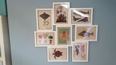 Due July 2017 #4 …… Well into 2nd Trimester! 20 Week Scans and Bumps Galore