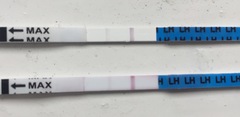 Ovulation help!!