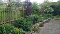 Allotment/Veg Patch -Thread  8 - Its spring - time to get busy!