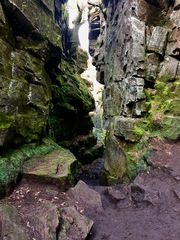 Week 9 - Spring Low Carb Bootcamp - our last fortnight