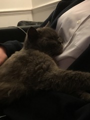 What's your DCat up to today? Pt 2