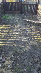 Allotment/Veg Patch -Thread  8 - Its spring - time to get busy!