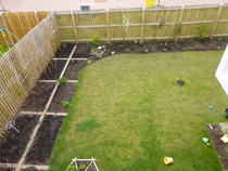 Allotment/Veg Patch -Thread  8 - Its spring - time to get busy!
