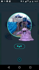 Pokémon Go #8: Don't mess with my Hoothoot