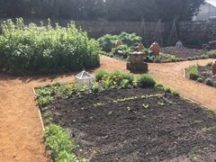 Allotment/Veg Patch -Thread  8 - Its spring - time to get busy!