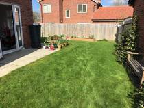 Help us decide what to do with this corner of our garden! (See pics)