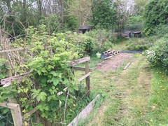 Allotment/Veg Patch -Thread  8 - Its spring - time to get busy!