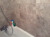 To ask to see your bathroom?