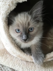 Devastated over the loss of my boy