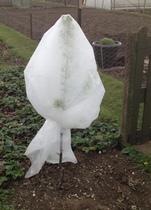 Allotment/Veg Patch -Thread  8 - Its spring - time to get busy!