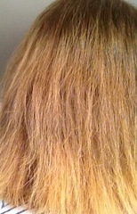 Subtle 'balayage' using this???