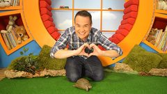 CBeebies Crushing Continues...