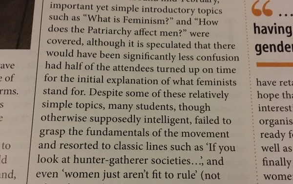 Why do some feminists not want sons?