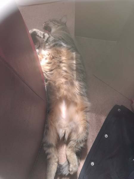 What's your DCat up to today? Pt 2