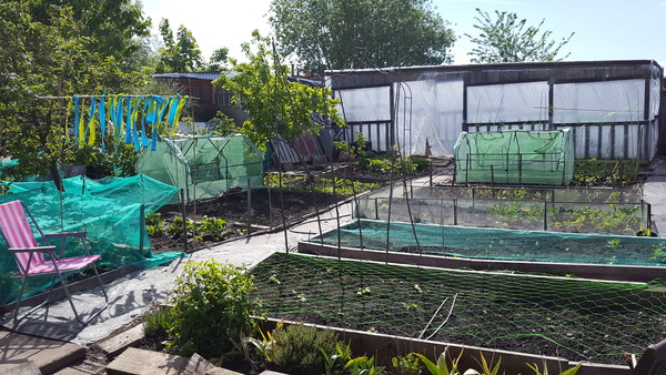 Allotment/Veg Patch Thread 9 - Spring is sprung, its getting really busy!