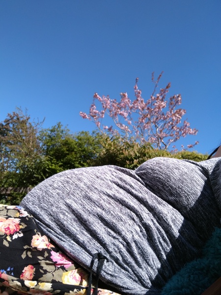 May 2017 special bump series