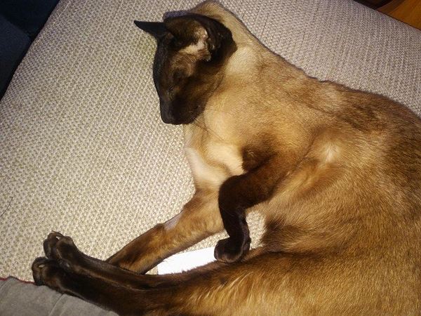 We did it!!  DH & I managed our first 2 days away