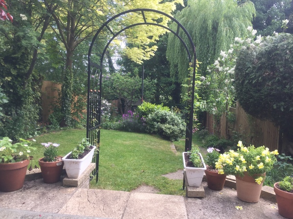 Does anyone know where we stand legally re. tall tree at end of garden