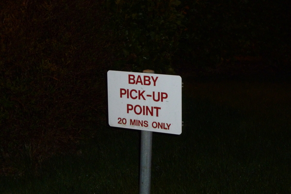 May 2017 #14 'A baby each day in the month of May?...'