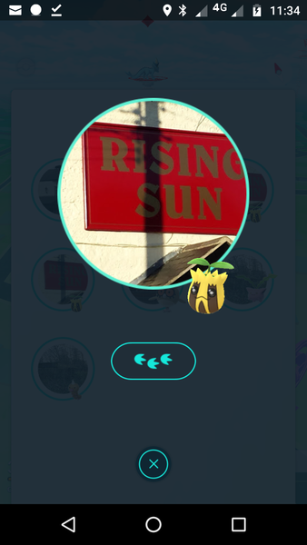 Pokémon Go #8: Don't mess with my Hoothoot