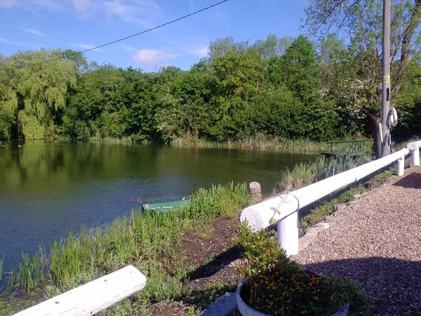 Aibu to show you my view for lunch today?