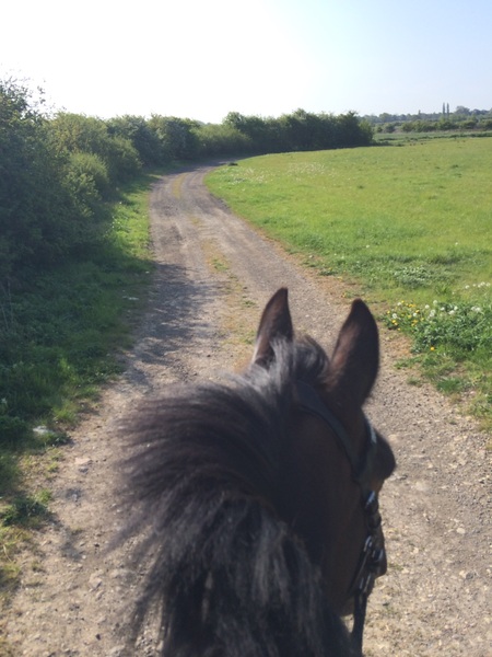First ride out by myself