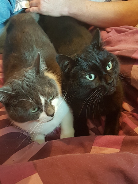 My two "babies" are 6 today!